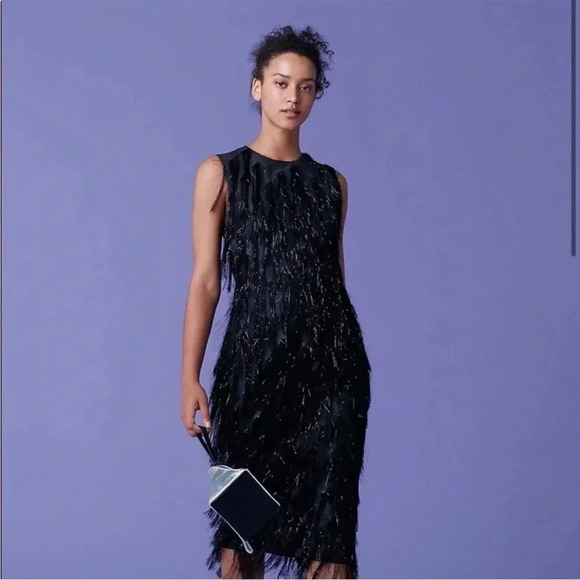 Diane Von Furstenburg Nadi metallic fringe midi dress - Picture 2 of 14